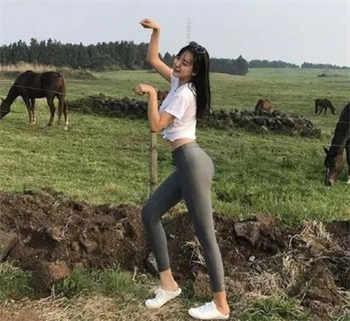 妻子的选择全文