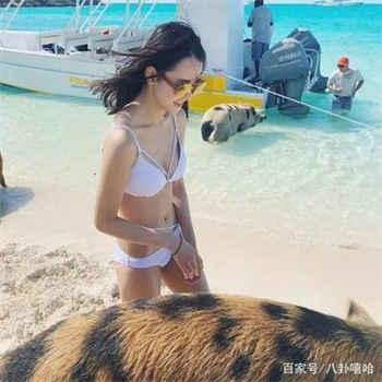 田野涨奶小说