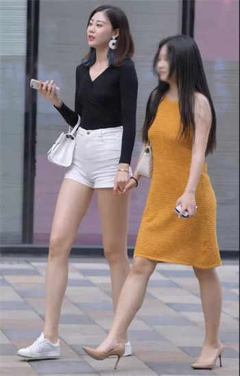 seegams系列是什么