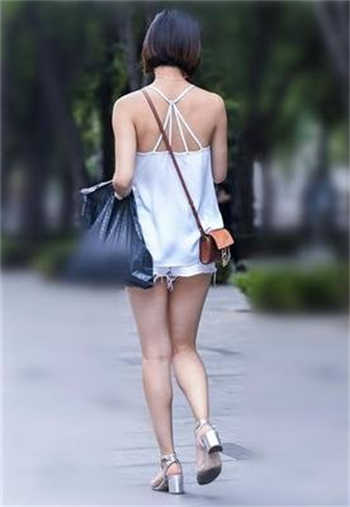 小胖丁 2856656是啥